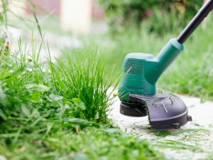 Craig's Lawn Care 10818 Fairchester Dr Fairfax, VA 22030 17033851641 lawn care service