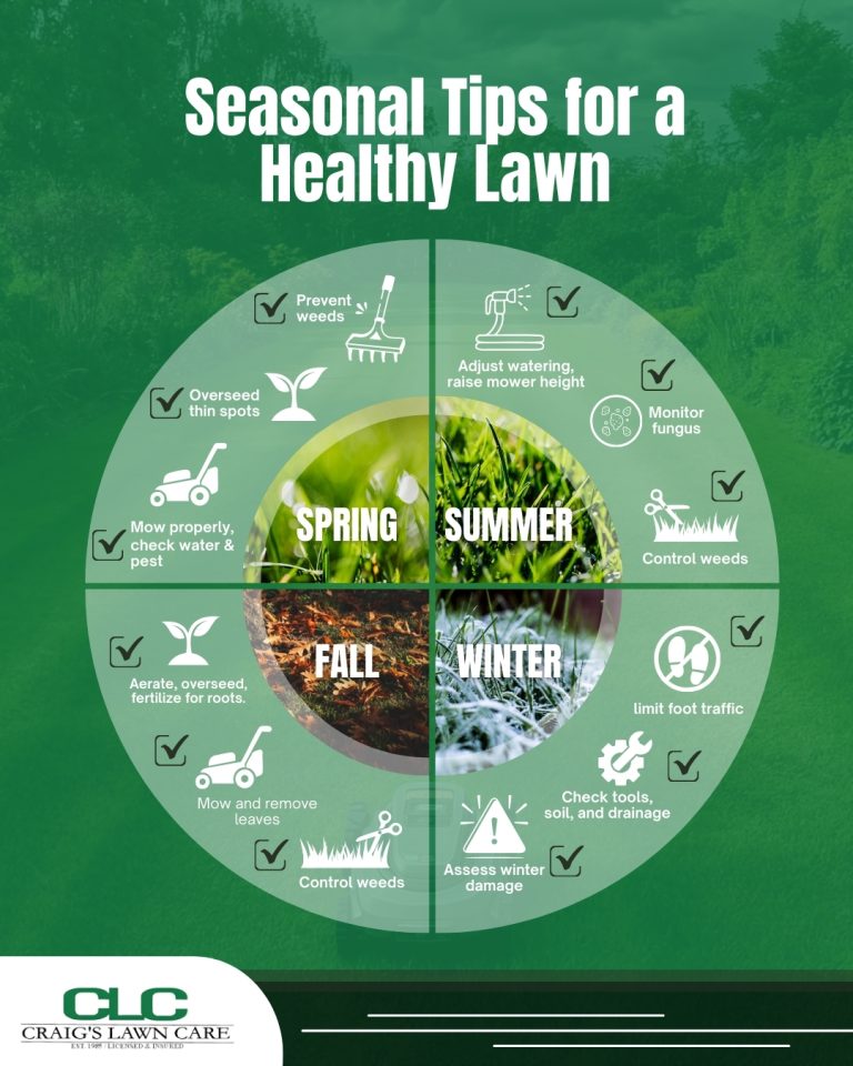 Seasonal Lawn Care Service Checklist | Craig's Lawn Care