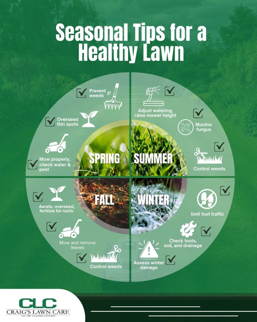 graph showing monthly lawn care service tips